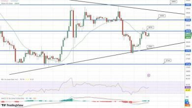 توقع البيتكوين انخفاض