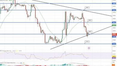 توقع سعر البيتكوين تجد دعمًا