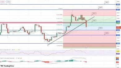 توقع سعر البيتكوين ينخفض