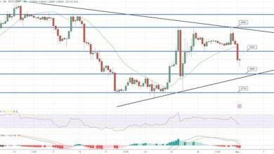 توقعات أسعار البيتكوين تنخفض