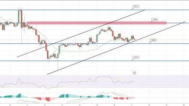 توقعات سعر البيتكوين الدعم المحتمل