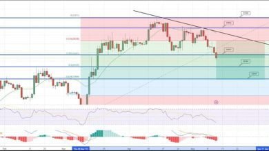 توقعات سعر البيتكوين هل 25000 دولار هو مستوى السعر الأساسي