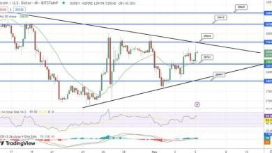توقعات سعر البيتكوين هل سترتفع