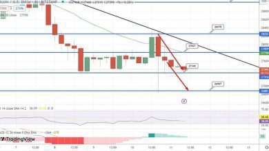 توقعات سعر البيتكوين و احتفاظ الثيران