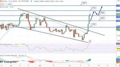 ارتفاع سعر البيتكوين بنسبة تزيد عن 20٪
