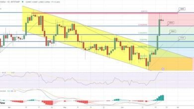 توقع سعر البيتكوين ثابت