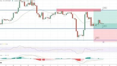 توقع سعر البيتكوين كشف النقاب