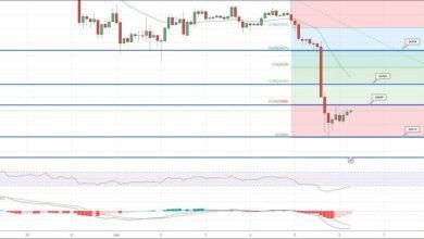 توقع سعر البيتكوين هل ستعيد