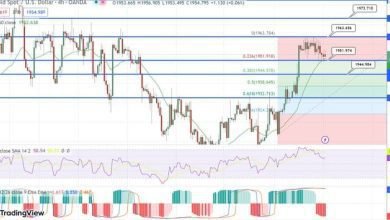 توقع سعر البيتكوي فوز الريبل القانوني