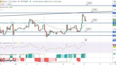 توقع سعر البيتكوين BTC