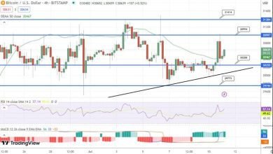 توقع سعر البيتكوين ارتفاع