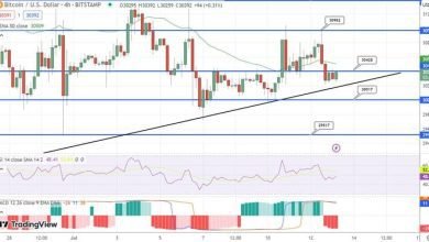 توقع سعر البيتكوين التحويلات الحكومية