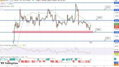 توقع سعر البيتكوين تظل البيتكوين
