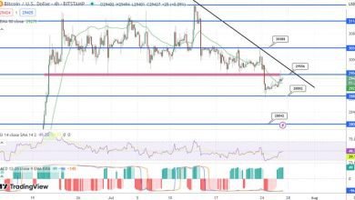 توقع سعر البيتكوين تنخفض BTC