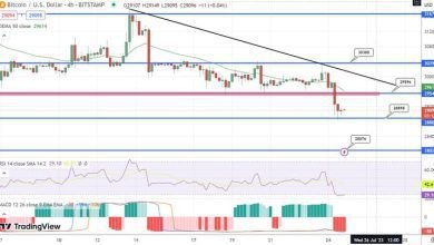 توقع سعر البيتكوين مع اقتراب