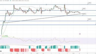 توقع سعر البيتكوين يتلاشى