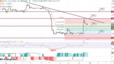توقع سعر البيتكوين ارتفاع احتمالية
