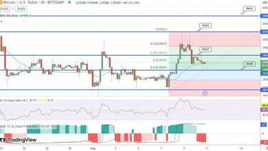 توقع سعر البيتكوين التنقل في خفض