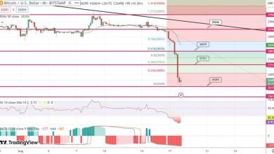 توقع سعر البيتكوين انخفاض