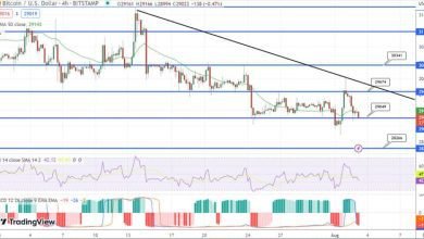 توقع سعر البيتكوين تواجه