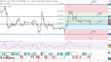 توقع سعر البيتكوين مخاوف