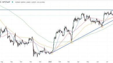 توقع سعر البيتكوين مع الإعلان