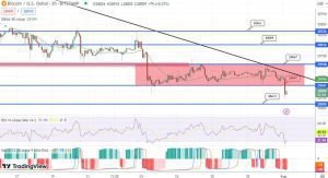 توقع سعر البيتكوين ينزلق