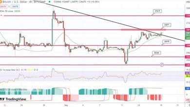 توقع بسعر البيتكوين إيماءة