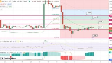 توقع سعر البيتكوين تدعم