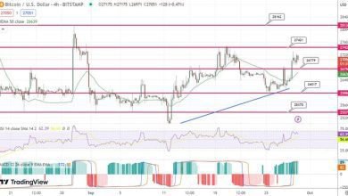 توقعات سعر البيتكوين ارتفاع بنسبة 2.50