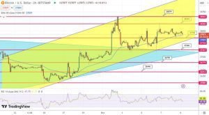  توقع بسعر البيتكوين استقرار