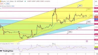  توقع بسعر البيتكوين استقرار