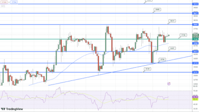 توقع سعر البيتكوين تعزيز الأرجنتين