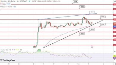 توقعات سعر البيتكوين تنخفض عملة البيتكوين بنسبة 1٪ تقريبًا