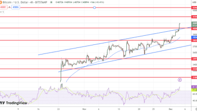 توقعات سعر البيتكوين ارتفاع بنسبة 3.5