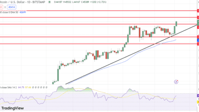 توقع سعر البيتكوين يتجاوز 45 ألف دولار