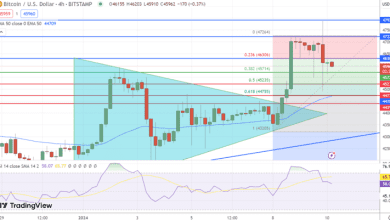 توقع سعر البيتكوين ينخفض إلى 46000 دولار