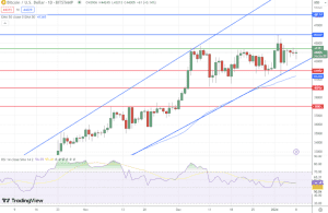 توقعات سعر البيتكوين تنبيهات