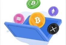العملات المشفرة و المحافظ الرقمية الأكثر آمنا