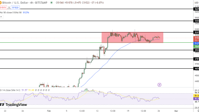 توقع سعر البيتكوين الى 51,500 دولار