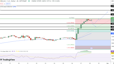 توقع سعر البيتكوين تتطلع