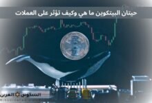حيتان البيتكوين ما هي وكيف تؤثر على العملات