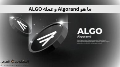 ما هو Algorand و عملة ALGO