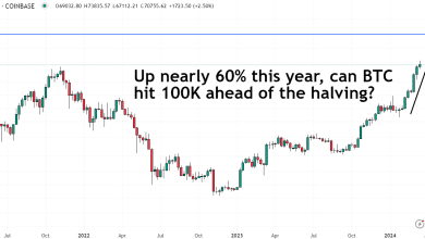 تنخفض عملة البيتكوين (BTC)