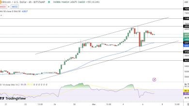 توقعات سعر البيتكوين رهان MicroStrategy