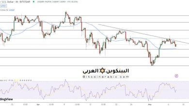 توقع سعر البيتكوين حيث تقول شركة الاستثمار فيديليتي