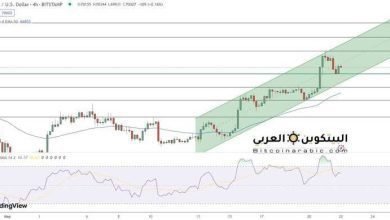 توقعات سعر البيتكوين تصل إلى 70000 دولار وسط تفاؤل ETF