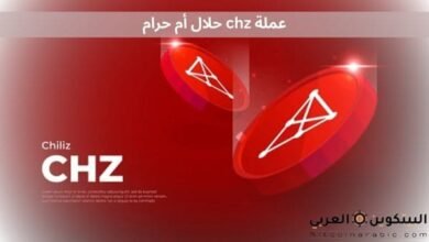 عملة chz حلال أم حرام