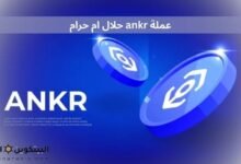 عملة ankr حلال ام حرام