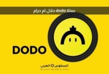 عملة dodo حلال ام حرام